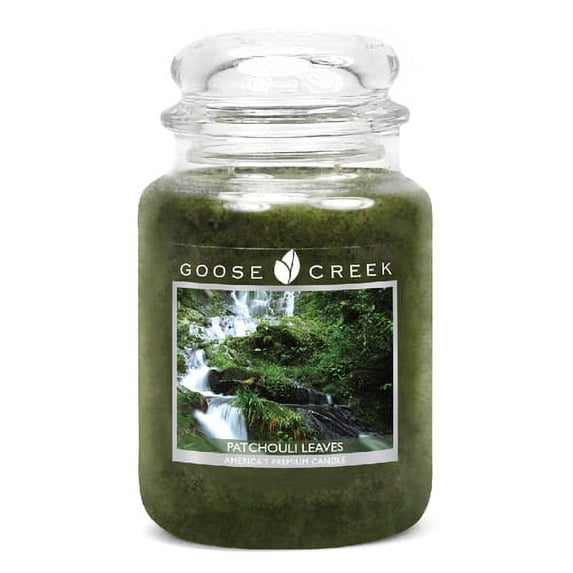 Aromatic Patchouli Leaves for Earthly Scent Therapy & Relaxation - 24oz