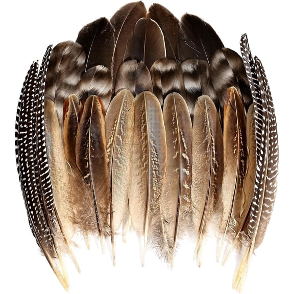24pcs 4Style Natural Spotted Feathers Guinea Fowl Wing Feathers 6-8 inch Bulk for Craft Clothing Jewelry DIY Decoration Guinea Fowl Wing Feathers