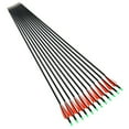 thumbnail image 1 of 24pcs 7.8mm Carbon Arrows Replaceable Tip Plastic Feather For Compound/Recurve Bow, 1 of 7