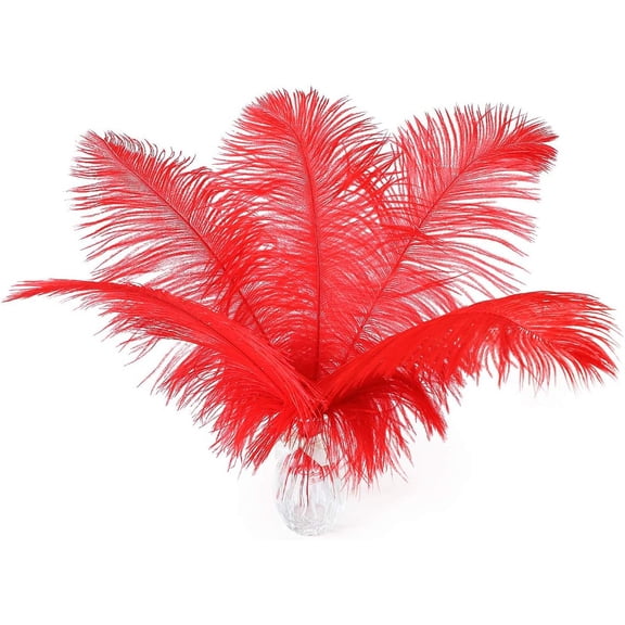 24pcs Natural Bright Red Ostrich Feathers 10-12inch (25-30cm) for Wedding Party Centerpieces，Flower Arrangement and Home Decoration.