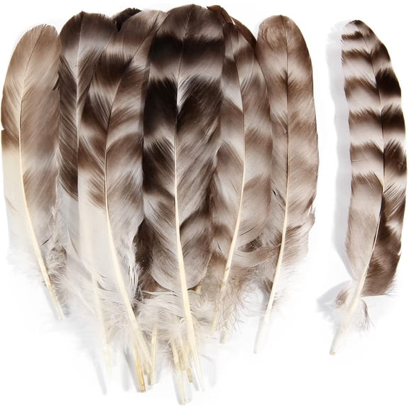 24pcs Natural Grey-Chinchilla Feathers Bulk for DIY Crafts Project Collection Wedding Decoration Reeded Chicken Feathers
