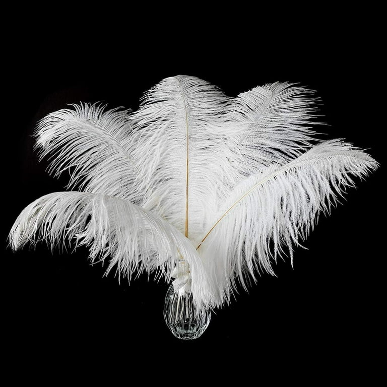 Ostrich Craft Feathers for Sale Online