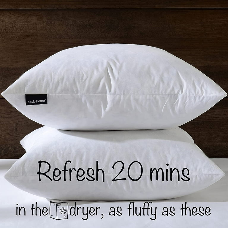 24x24 Euro Throw Pillow Inserts Down Feather Pillow Inserts Cotton Fabric Set of 2 White. Walmart