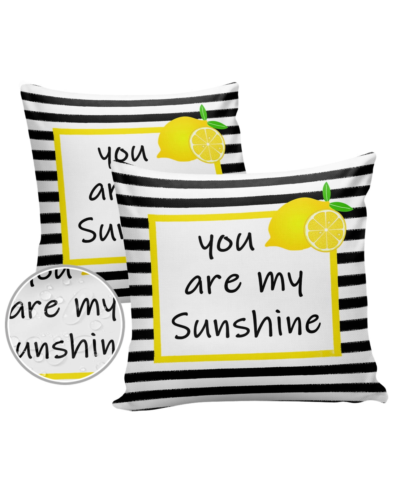 24x24 Outdoor Pillow Covers Set of 2, Summer Tropical Cactus Truck