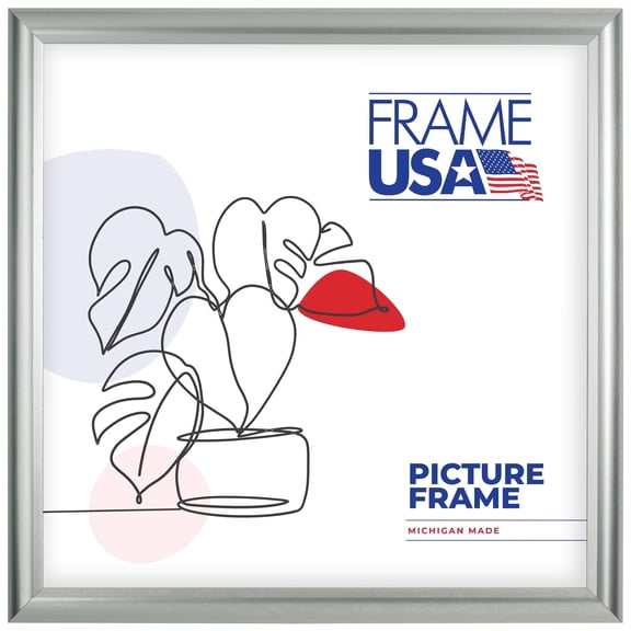24x24 Picture Frame, Silver Deluxe Poster 11030, 1 Inch Polystyrene with Plexiglass, Wall Display