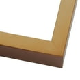 thumbnail image 1 of 24x28 Minimalist Shadow Box Brown Picture Frame - UV Acrylic, Backing, Hanging Hardware, 1 of 6