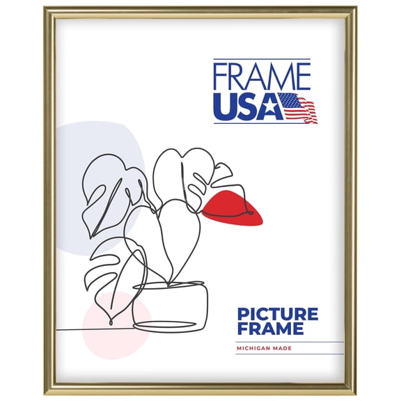 24x30 Picture Frame Gold Metal I Style AF732-PI, 0.375 Inch Metal Moulding, Includes Plexiglass and Backing Wall Display Frame for Art, Posters, or Photos Frame USA