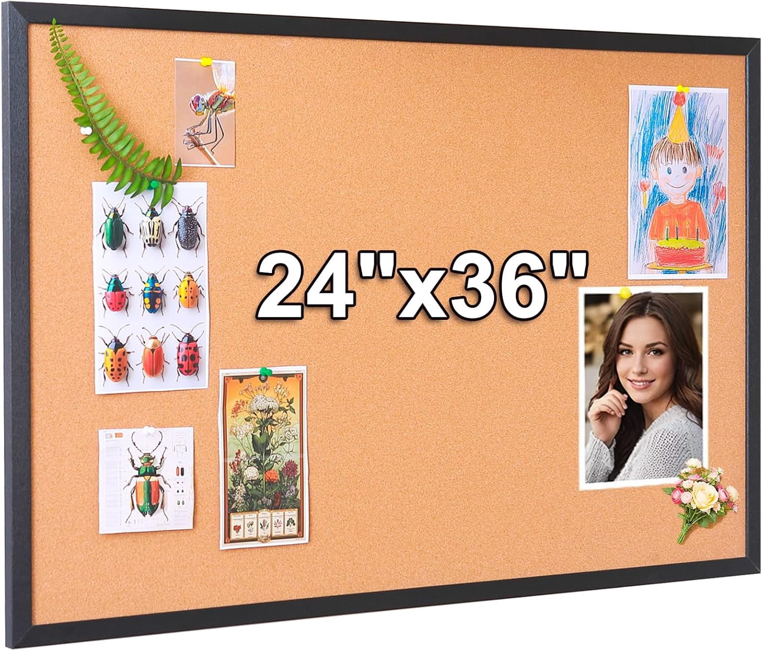 24x36 Inch Cork Bulletin Board for Wall with Black Wood Frame | Modern Pin Office & Home Includes 20 Push Pins Mounting Hardware