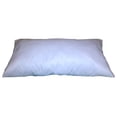 thumbnail image 1 of 24x36 Inch Rectangular Throw Pillow Insert Form, 1 of 2