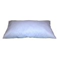 thumbnail image 1 of 24x36 Inch Rectangular Throw Pillow Insert Form, 1 of 2