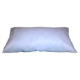 thumbnail image 1 of 24x36 Inch Rectangular Throw Pillow Insert Form, 1 of 2