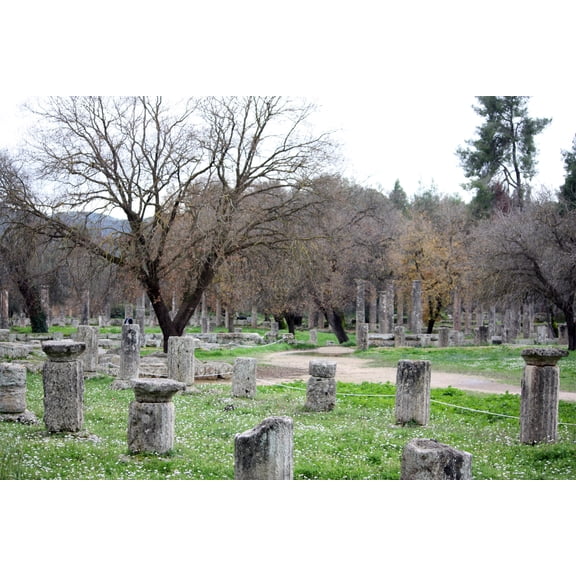 24x36 gallery poster, gymnasium and palaestra at Olympia, the site of the ancient Olympic games