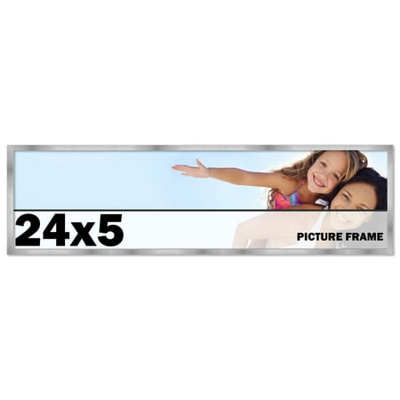 24x5 Frame Silver Stainless Steel Solid Wood Picture Frame | 0.75 Inch Moulding Width | Includes UV