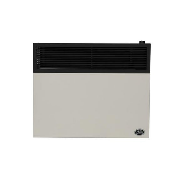 25,000 BTU Direct Vent Natural Gas Heater