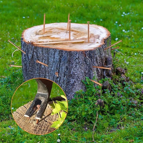 25/20/15Pcs 4Inch Copper Nails For Killing Trees Stump Root Stump Removal Spikes Hardware Trees For Projects / Shipbuilding 15Pcs Fangkenuo
