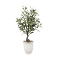 thumbnail image 1 of 25.5" Olive tree in 6" Texture Ceramic Pot, 1 of 5