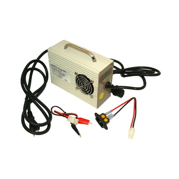 25.6 Volt LiFePO4 Battery Pack (6A) Smart Charger