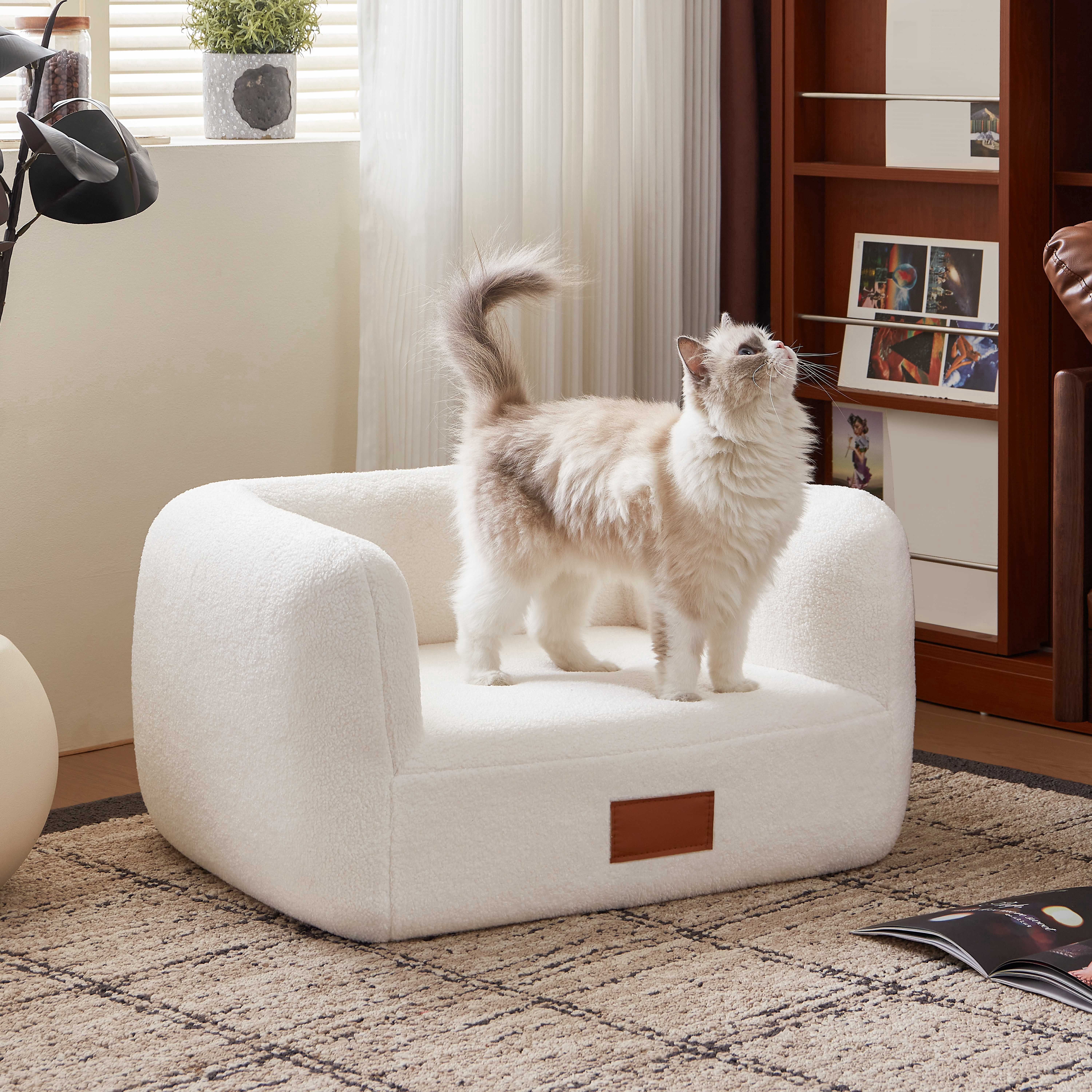 25.6''W White Modern Elegant Faux Shearling Dog Bed Cat Bed for Medium Pets under 35lbs, Luxury Indoor Pet Bed Furniture Style Orthopedic Elevated Dog Sofa Pet Couch with Leather Nameplate