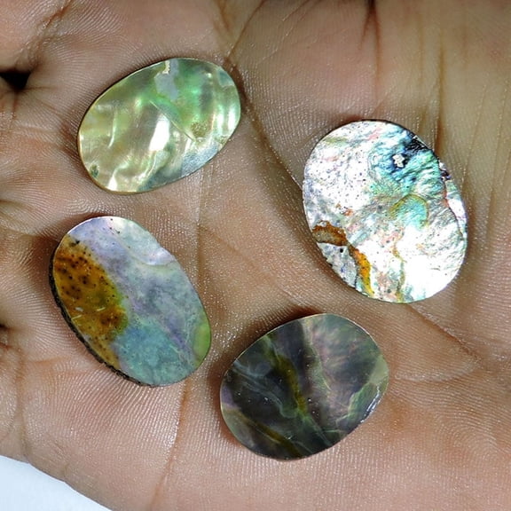 25.80Cts Natural Fossil Abalone Shell Oval Cabochon Loose Gemstone 4pcs Lot