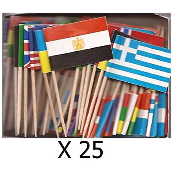 25 Boxes of Assorted Miniature World Toothpick Flags,2500 Small Mini Assorted Country Olympic World Cup Little Flag Cupcake Toothpicks or Cocktail Sticks & Picks (25 Boxes of 100)