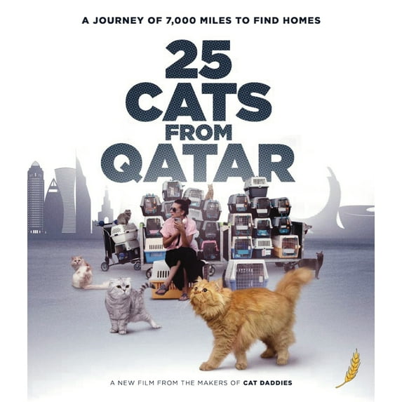 25 Cats From Qatar (Blu-ray)