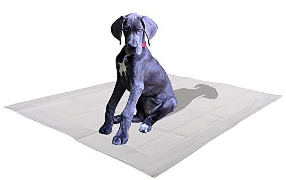 25 Count X-Large Leak-Proof Pee Pads, 5 Layers with Attractant Scent to Improve Potty Training Success, 28" x 34"