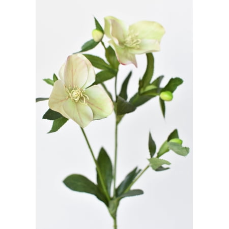 25" Faux Helleborus Stem Green