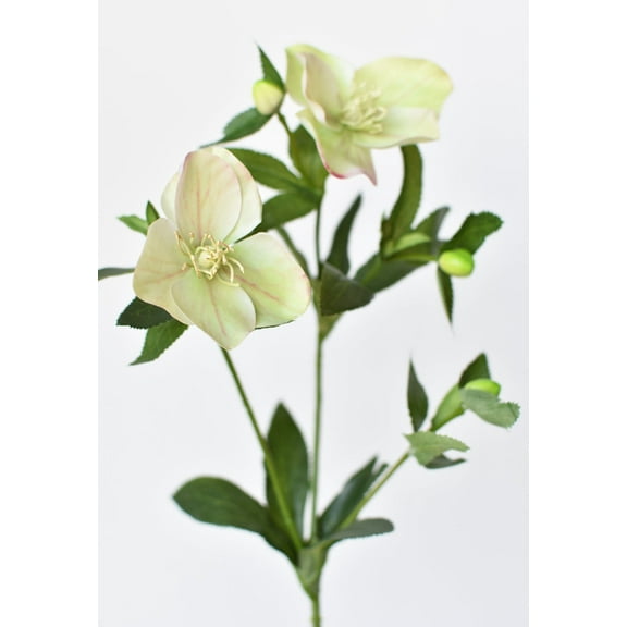 25" Faux Helleborus Stem Green
