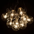 thumbnail image 1 of G50 Clear String Lights with Black Wire, 1 of 7