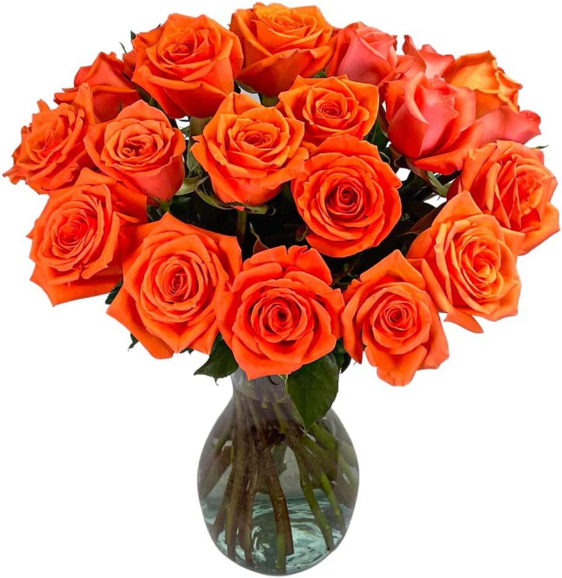 Pick Your Own Delivery Date | 50 Orange Roses Bulk Fresh Flowers | Designed by Arabella Bouquets | Farm Fresh Cut Flowers, Gifts for Birthday