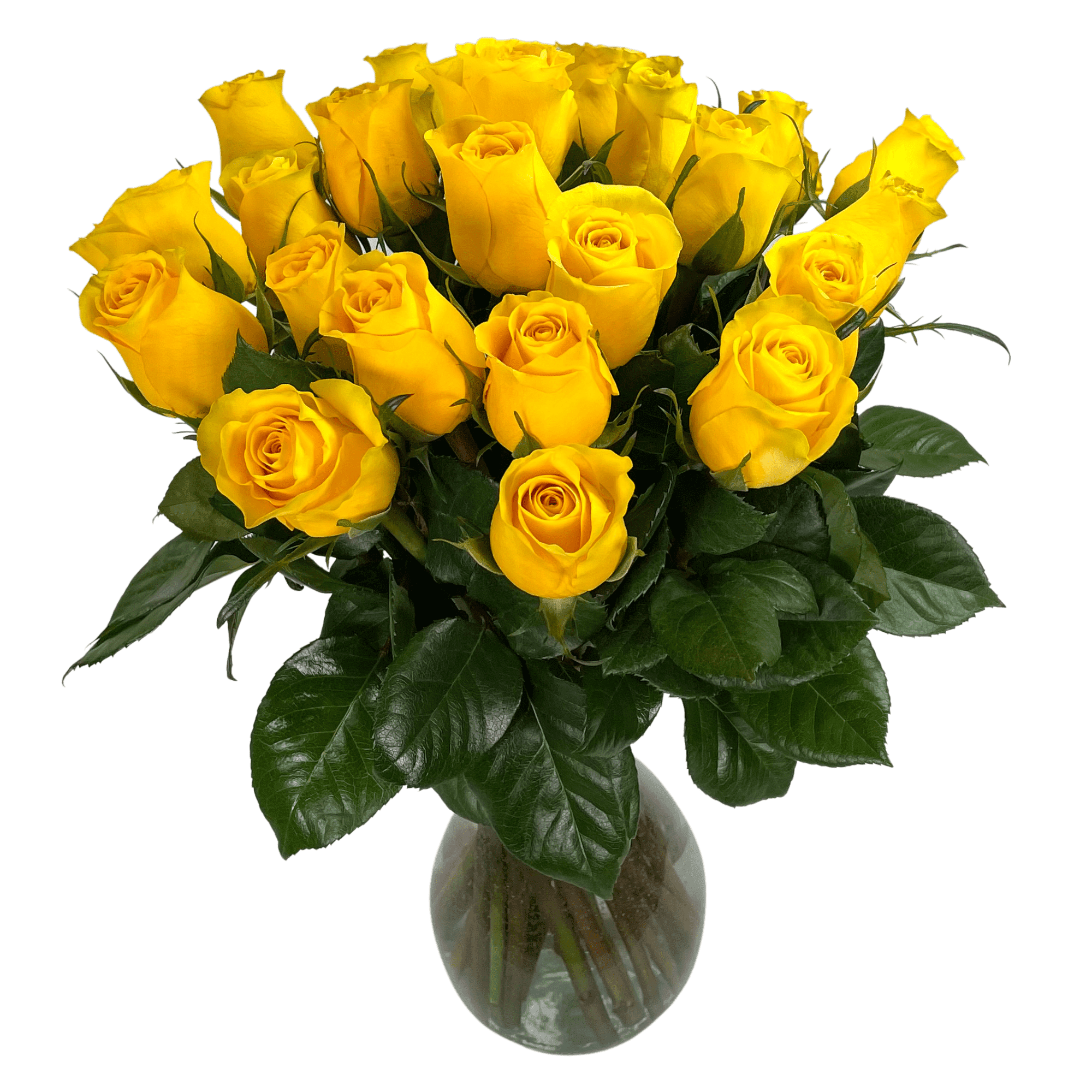Arabella Bouquets 25 Yellow Roses with Elegant Hand-Blown Glass Vase