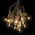thumbnail image 1 of 25' G40 LED Warm White String Lights with White Wire for Indoor and Outdoor Use by Hometown Evolution, Inc., 1 of 7