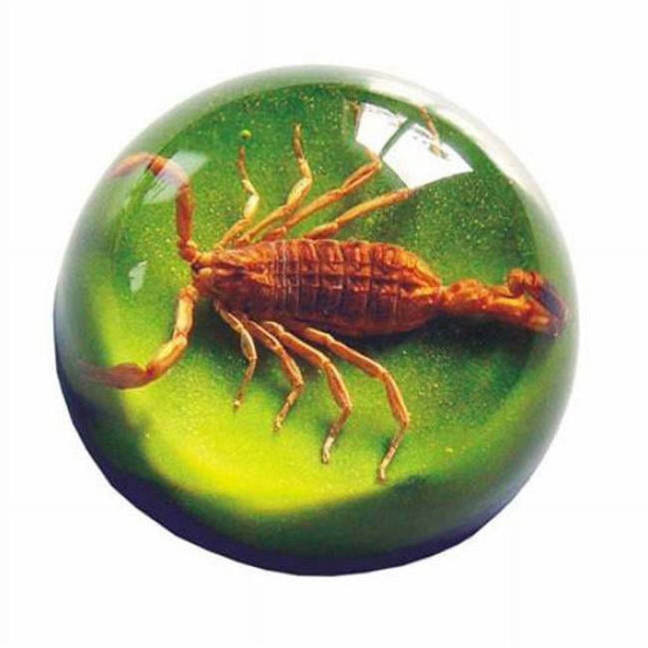 25 Golden Scorpion Dome Paperweight Green