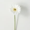 thumbnail image 1 of 25"H Sullivans Refreshing Cream Gerbera Daisy, Cream, 1 of 3