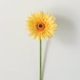 thumbnail image 1 of 25"H Sullivans Sunny Yellow Gerbera Daisy, Yellow, 1 of 3
