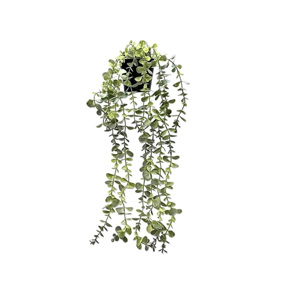 25 Inch Artificial Trailing Eucalyptus Hanging Plant with Black Pot, Faux Greenery Wall Mount Fake Vine Plant, No Maintenance Boho Decor for Indoor Outdoor Halloween Thanksgiving Home Decorations
