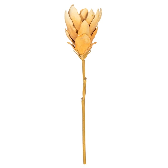 25" Light Orange Protea Stem 2/Bag