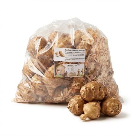 25 Live Jerusalem Artichoke Tubers | Sunchokes by Greenhouse PCA | Fresh Sunchoke Bulbs for Eating or Planting
