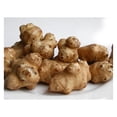 25 Live Jerusalem Artichoke Tubers Sunchokes by TiaGOC Sunchoke