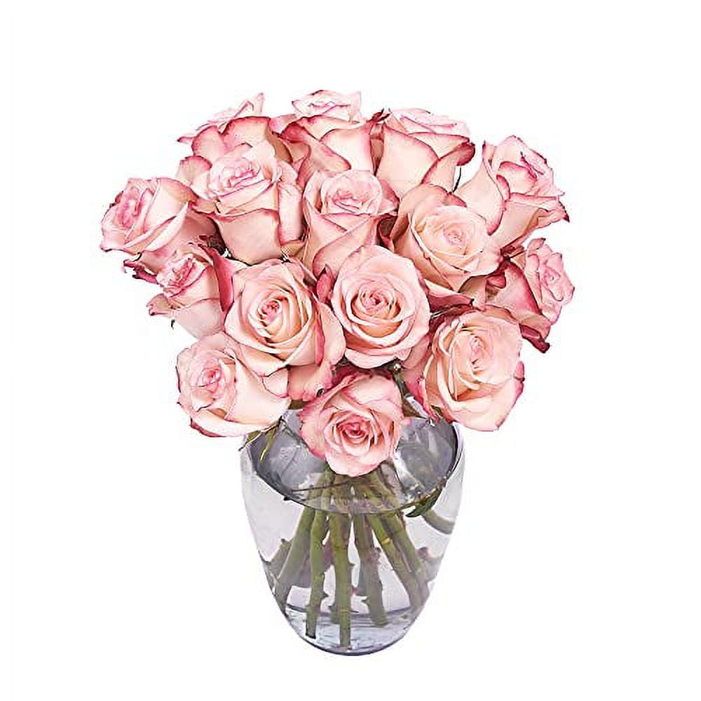 25 LongStem Cut Roses Cut To Order And AirMailed Directly To Your