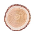thumbnail image 1 of 25 Natural Wood Slice Design Round Paper Plates Party Events Home Decorations, 1 of 6