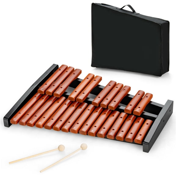 25 Notes Xylophone with 2 Mallets & Carrying Bag, Hardwood Pine Wood Brown Black for Beginners Adults