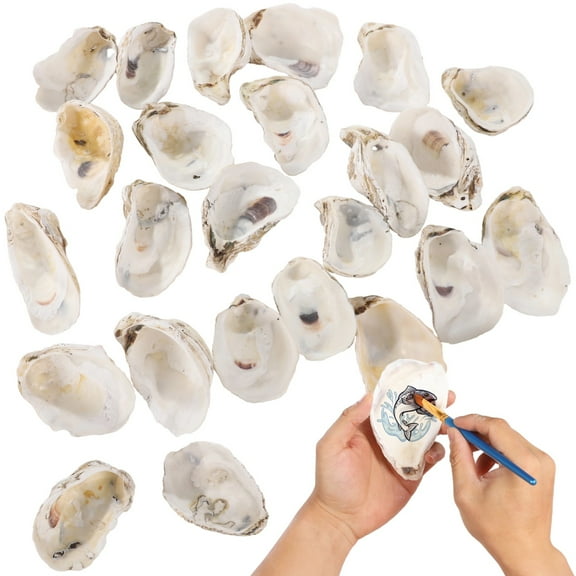 25 PCS Oyster Shells for Crafts, Large Oyster Shells for Decor, Natural North Sea Origin, 2.8~3.6 Inches Natural Design, Ideal for Aquarium Landscaping, Crack-Free Surface