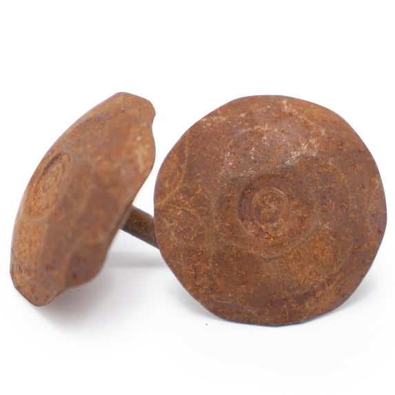 25 Pack 0.75 Inch Rusted Finish Decorative Door Nail Clavos By Borderland Rustic Hardware