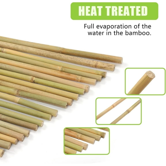 25 Pack 2FT Natural Bamboo Plant Stakes - Garden Supports for Tomatoes, Beans, Potted & Climbing Plants