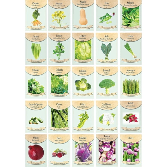 25 Pack Pollinator Garden Seeds Late Season & Fall Planting Mix Attract Bees, Butterflies & Birds Non-GMO Vegetable & Flower Variety Pack