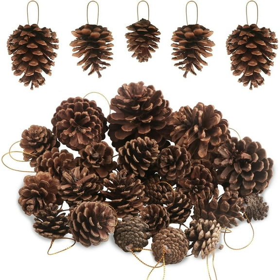25 Pcs Christmas Natural Pine Cones,Natural Pine Cones Christmas Tree Pine Cones,Christmas Pinecones Hanging Ornaments for Home Party Crafts Gift Wedding Christmas Tree Winter Decoration,5 Sizes