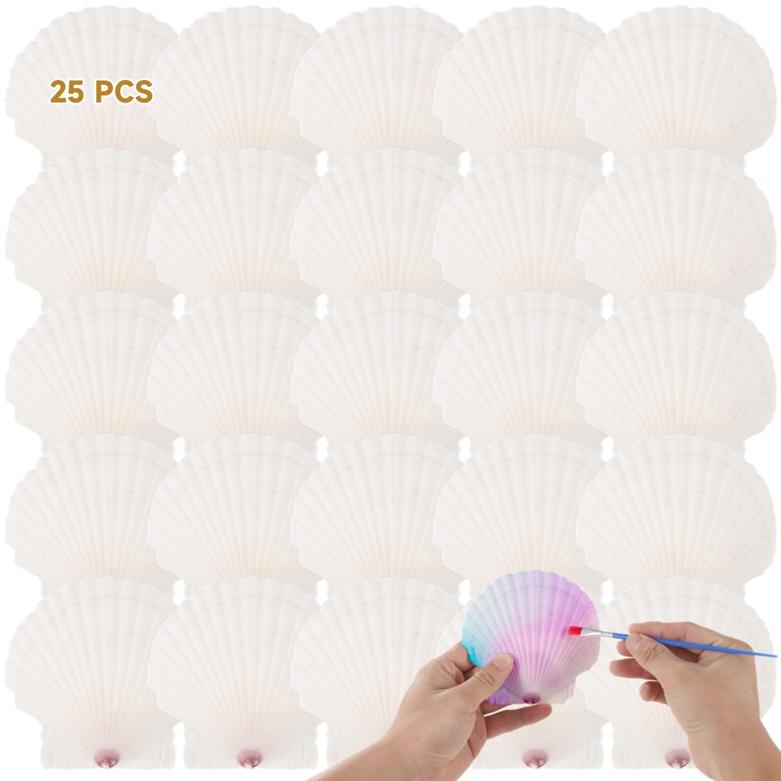 25 Pcs Scallops Shells, 4-5 Inches Large White Seashells, DIY Handcraft Materials, Perfect for Crafts Painting, Beach Theme Parties Wedding and Aquarium Fish Tank Decor