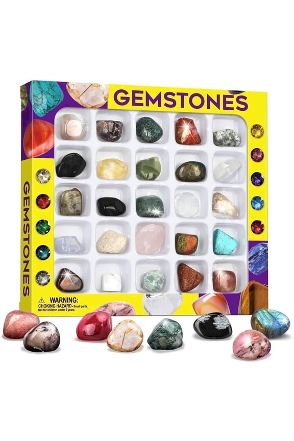 25PCS Real Gemstone Rock Collection Kit for Kids - Clear Display Box & Learning Guide - STEM Geology Sorting Toy Gift Ages 6+