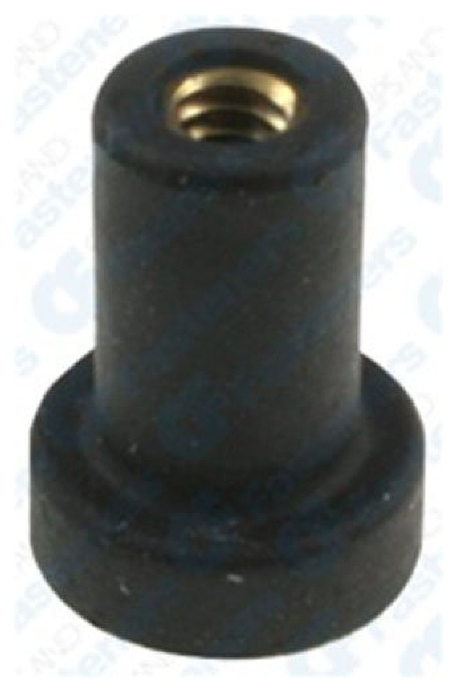 Wellnut